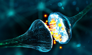 Regulação da CREB por Neurotransmissores na retina em Desenvolvimento: Papel da PKA e dos receptores de Glutamato